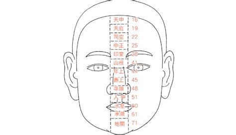 二條懸針紋|李居明大師會客室｜面相十三部位是人生轉捩點（二